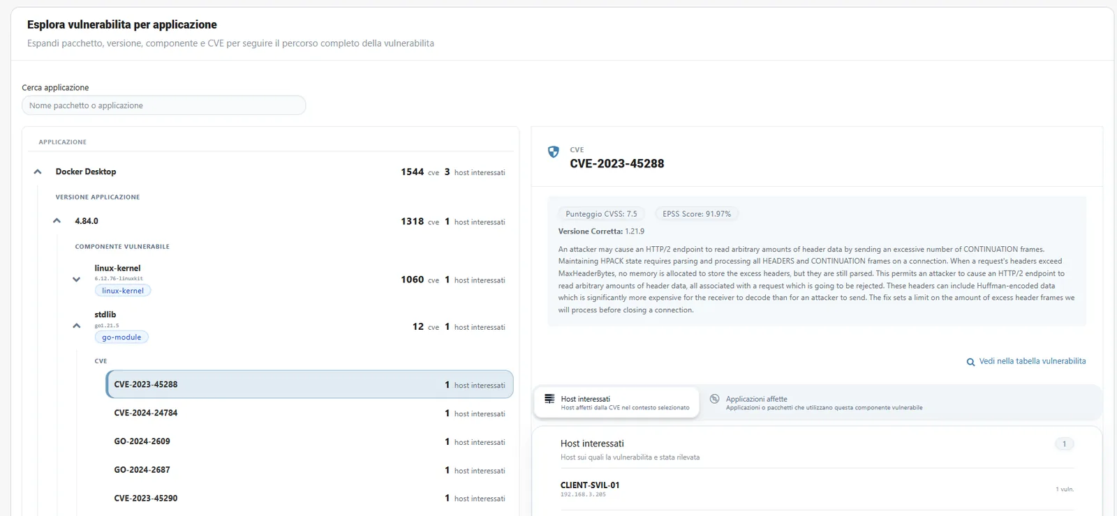 Application drill-down: from applications to libraries and related vulnerabilities